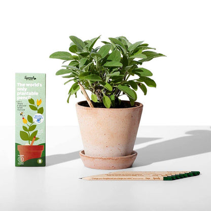 Mindful Plantable Pencils