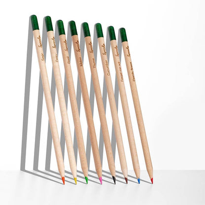 Plantable Pencils Colors