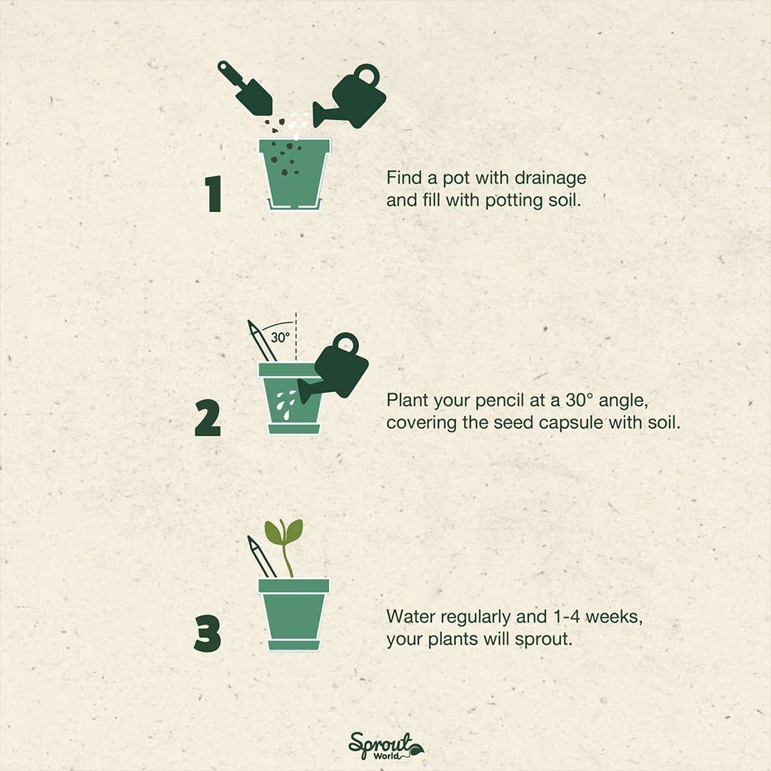 Pizza Herbs Plantable Pencils