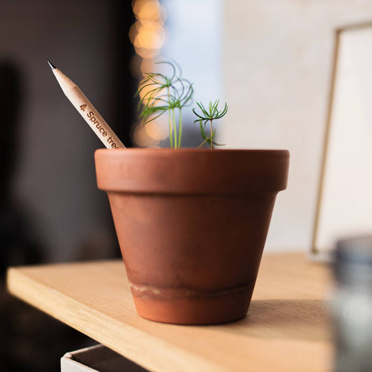 X-Mas Plantable Pencils