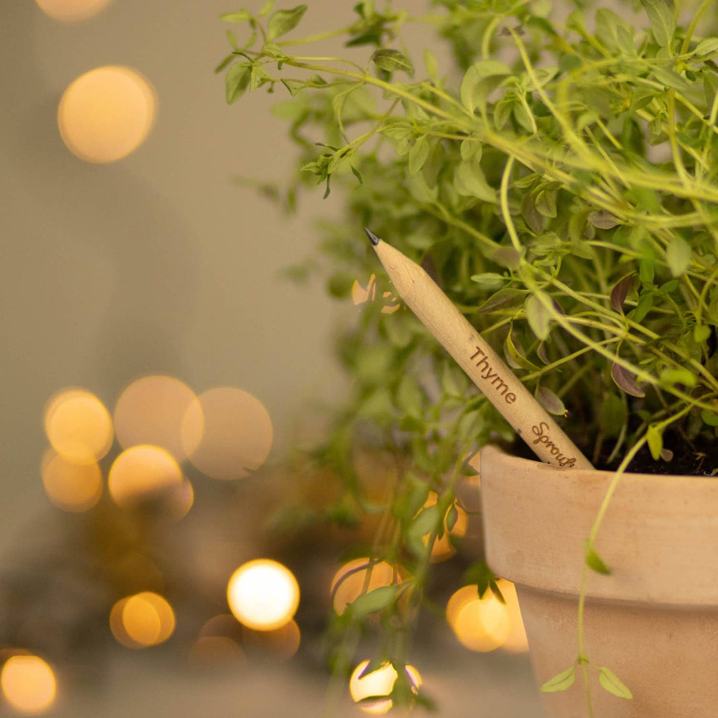 X-Mas Plantable Pencils