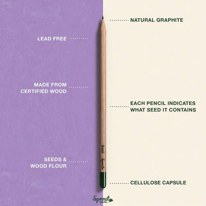Plantable Pencils Colors