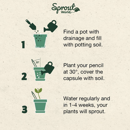 X-Mas Plantable Pencils