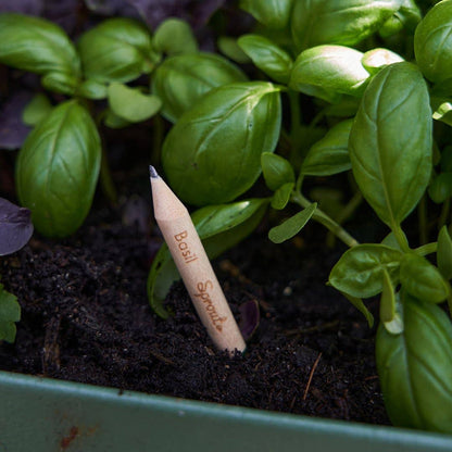 Pizza Herbs Plantable Pencils