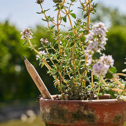 Mindful Plantable Pencils
