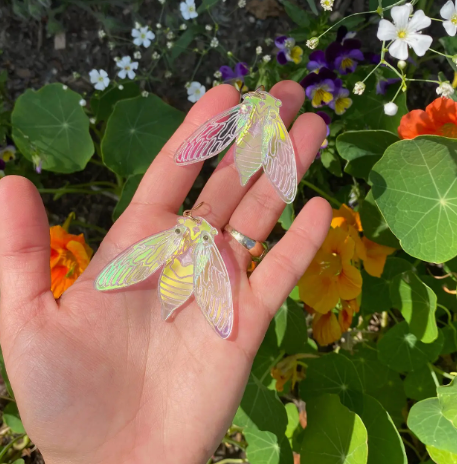 Cicada Earrings
